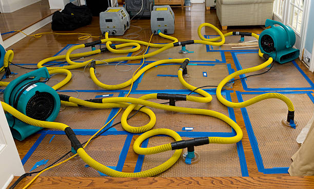 Professional Basement Flood Cleanup technician working in Hamel, MN